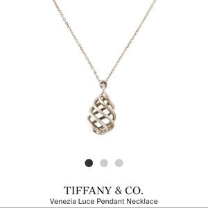 Tiffany & Co. Silver Picasso Venezia Luce small pendant